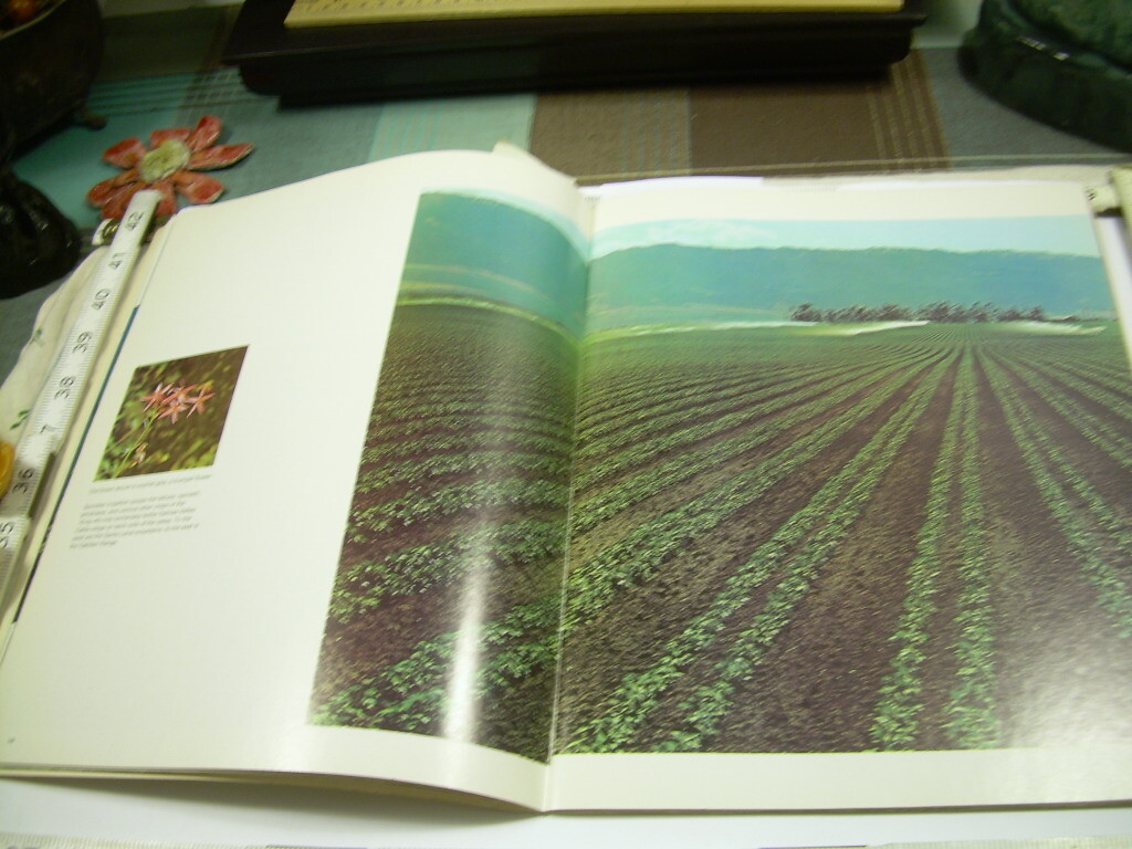 The Far West 1979 Ray Atkeson * NATURE PHOTOGRAPHY California Washington Oregon