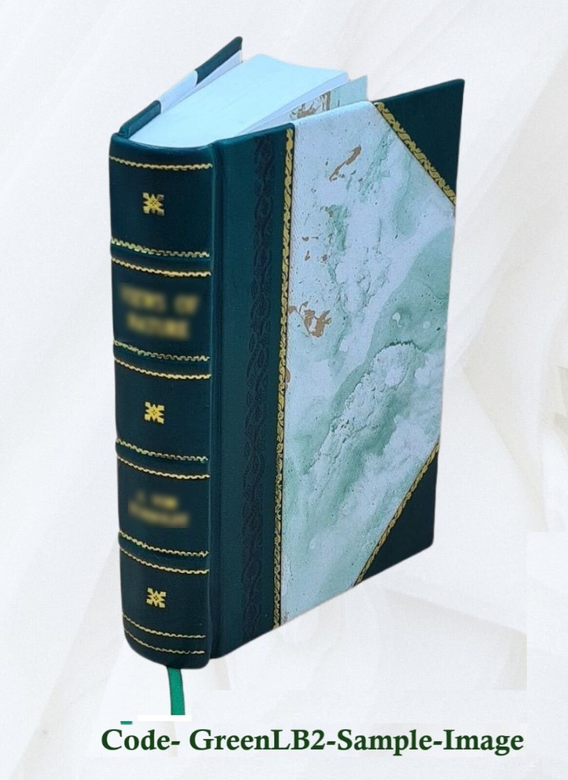 Consumption Its Prevention And Cure By The Water Treatment 1850 [Leather Bound]