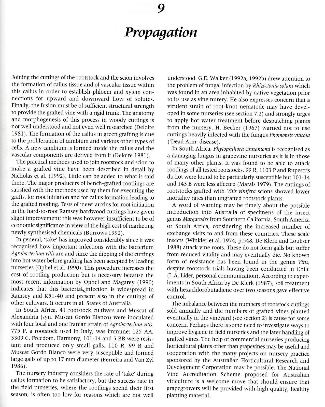 USING GRAPEVINE ROOTSTOCKS The AUSTRALIAN PERSPECTIVE Peter May Grapes. 62 pages