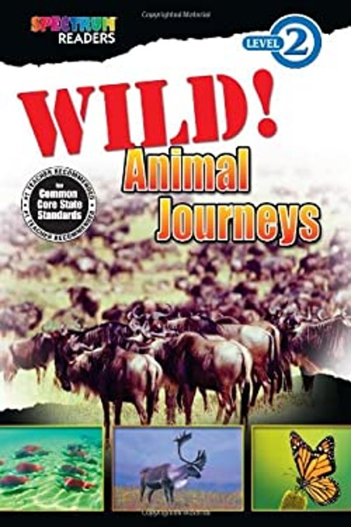 Wild! Animal Journeys Paperback Katharine Kenah