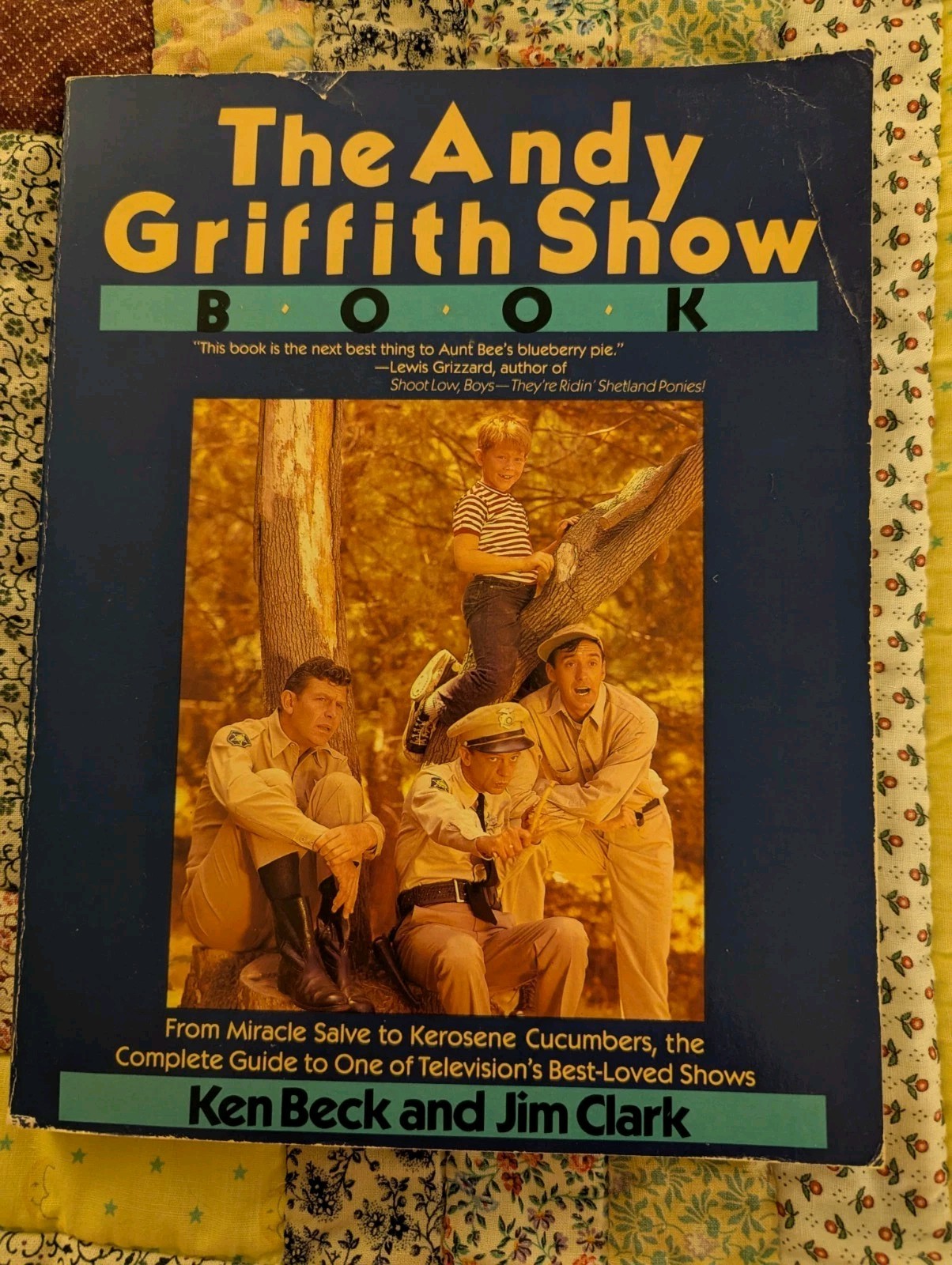 The Andy Griffith Show Book Ken Beck Jim Clark Mayberry Trivia Guide 1985 Photos