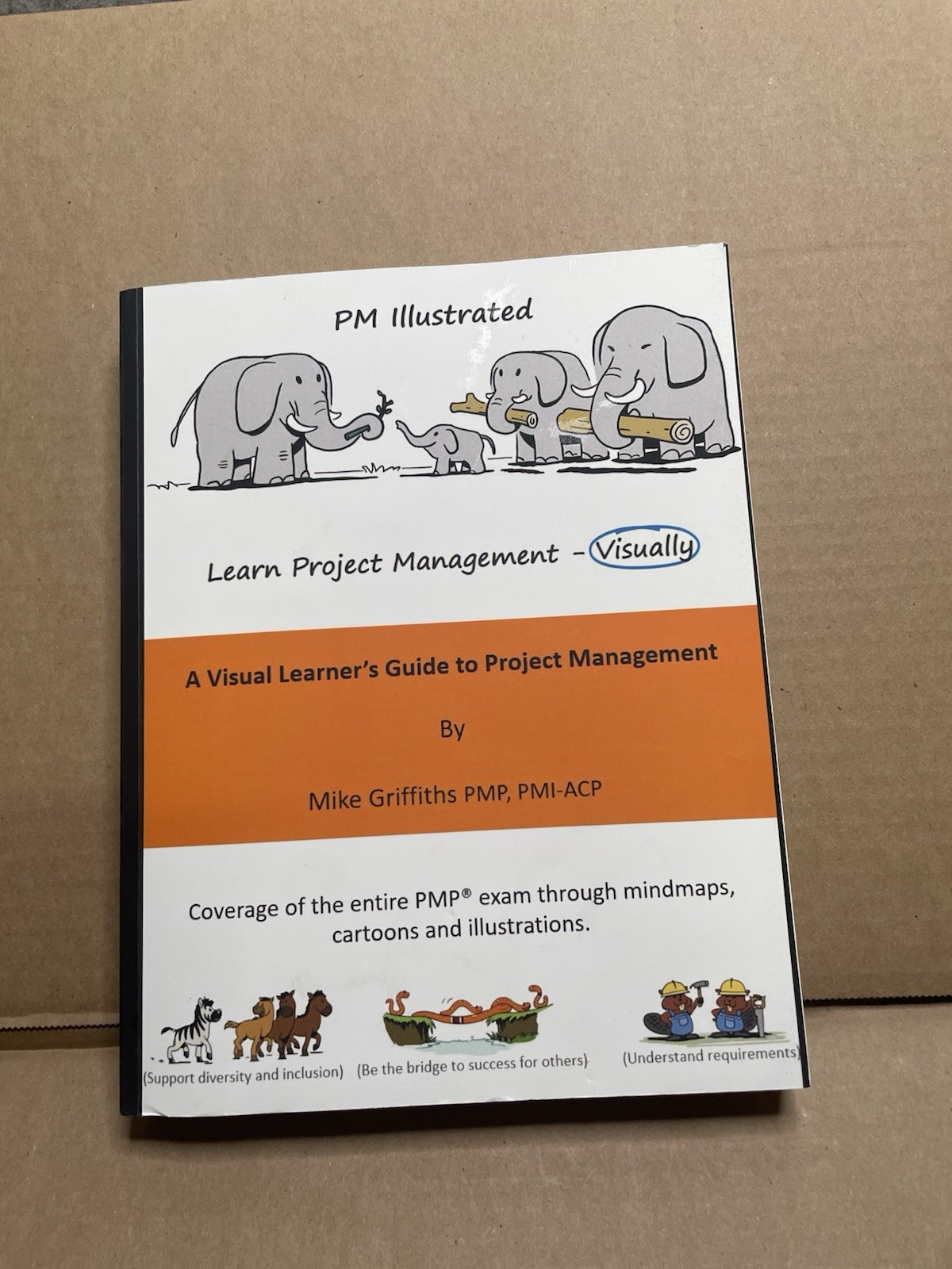 PM Illustrated: A Visual Learner’s Guide to Project Management: (