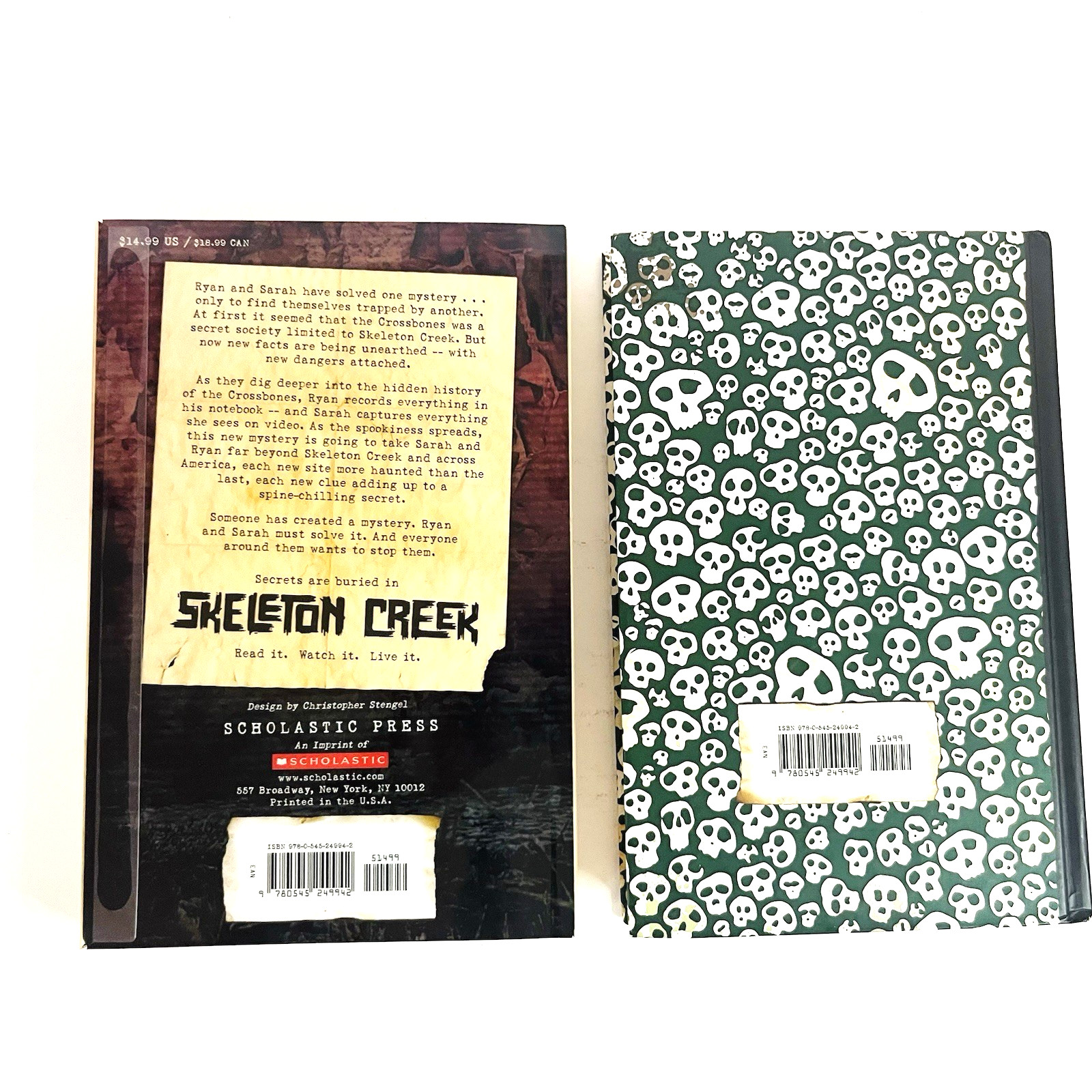 Ryan’s Journal Skeleton Lot of 4 Books Hardcover Children by Patrick Carman