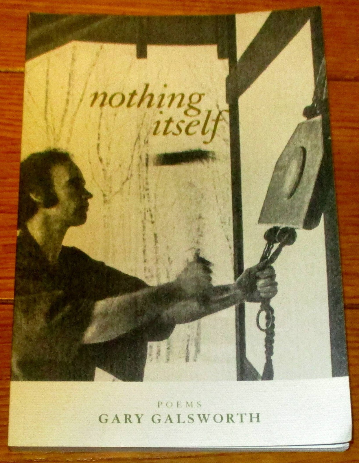 2019 Nothing Itself Poems by Gary Galsworth SIGNED Softcover Book 135 Pages