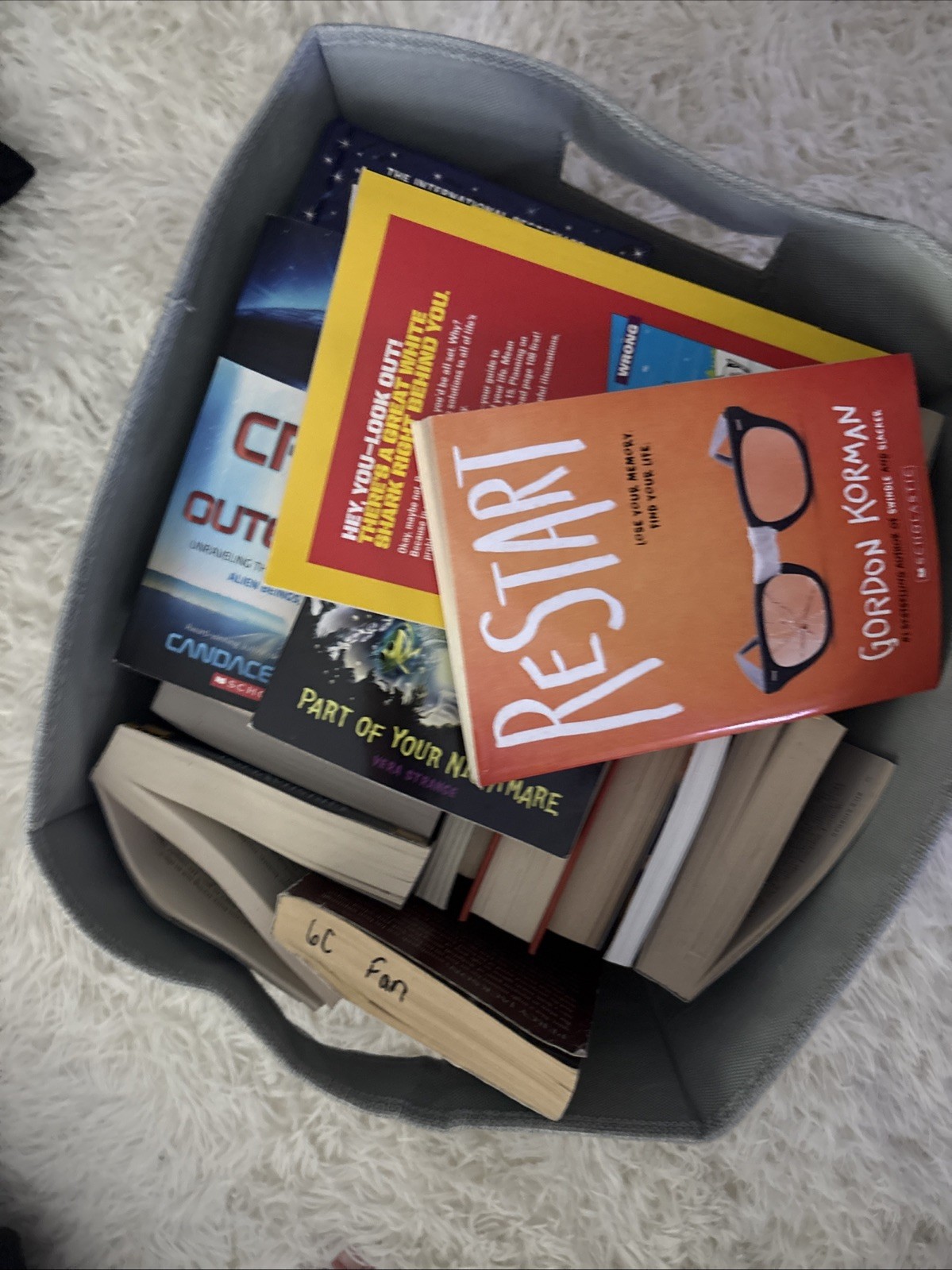 Giant Book Lot