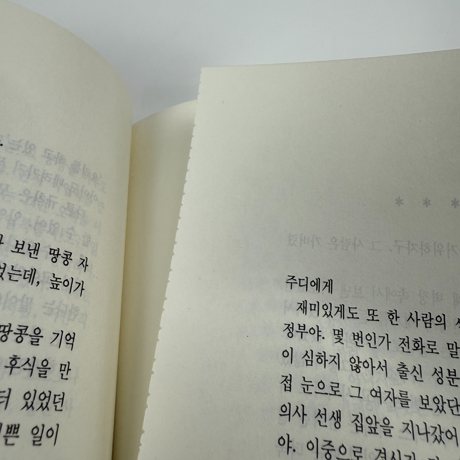Jean Webster Dear Enemy Daddy Long Legs Sequel PB Book KOREAN Translation