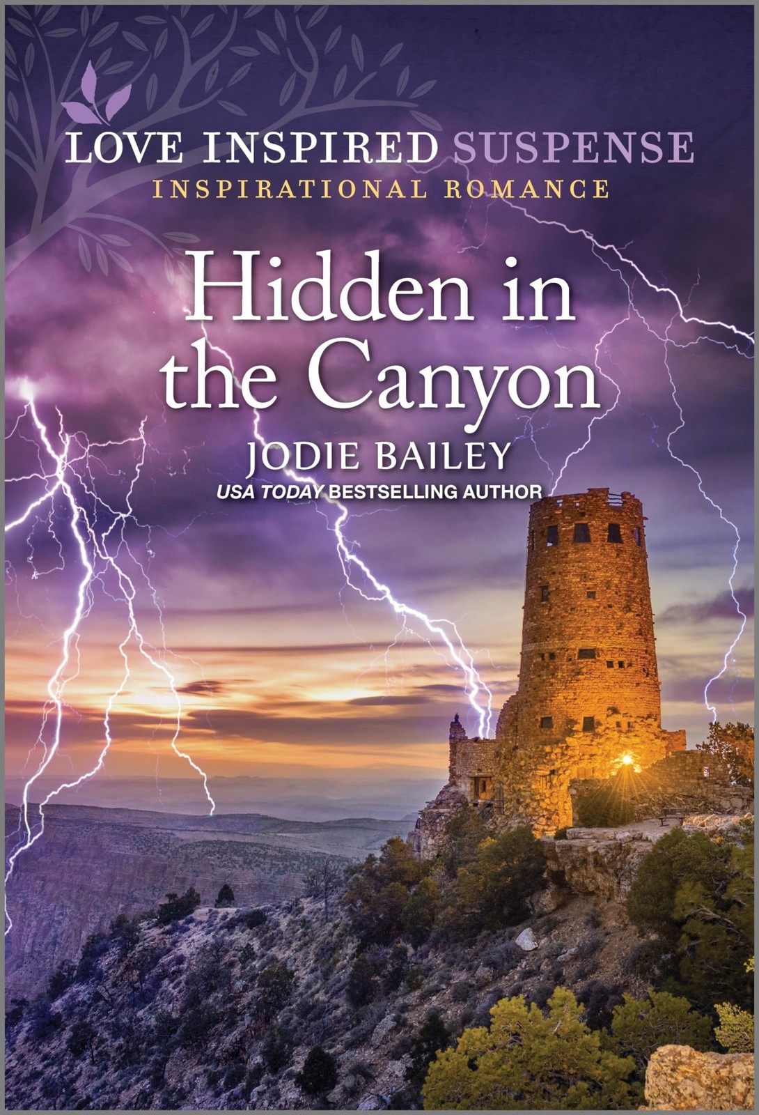 Hidden in the Canyon (Love Inspired Suspense) – Bailey, Jodie – Good – See c…