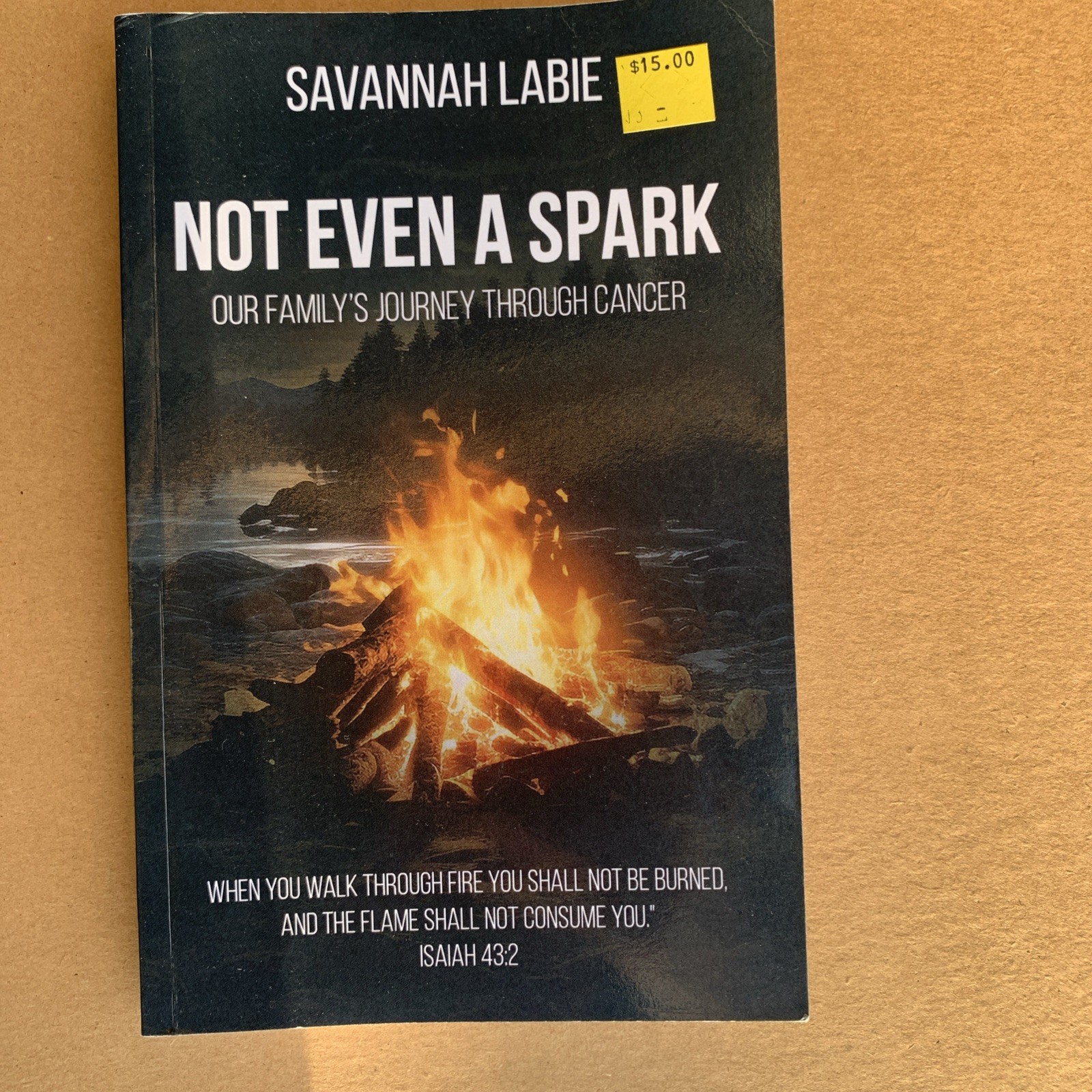 Not Even a Spark: a Family’S Journey through Cancer