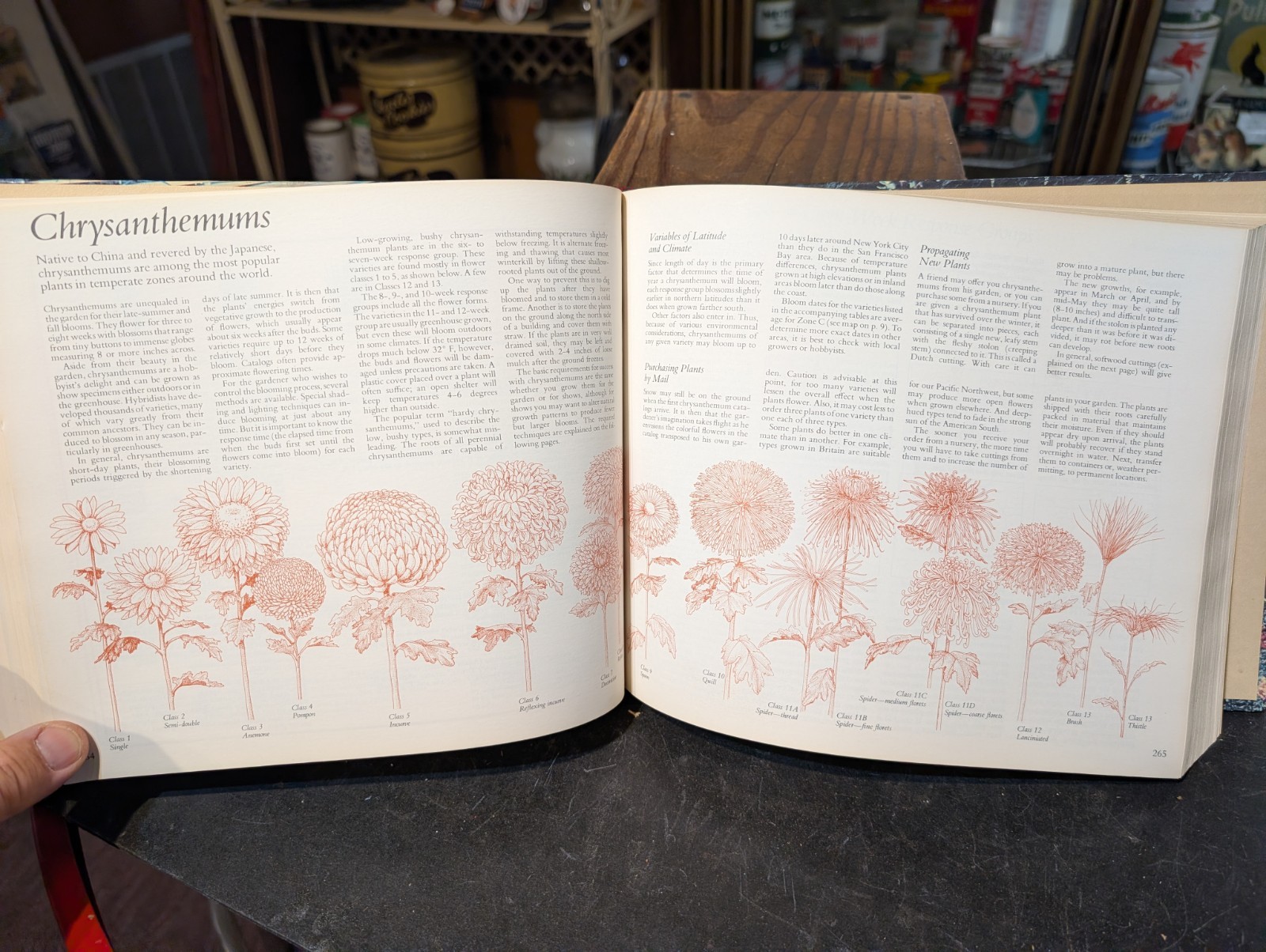 Original 1978 Reader’s Digest Illustrated Guide To Gardening 672 Pages