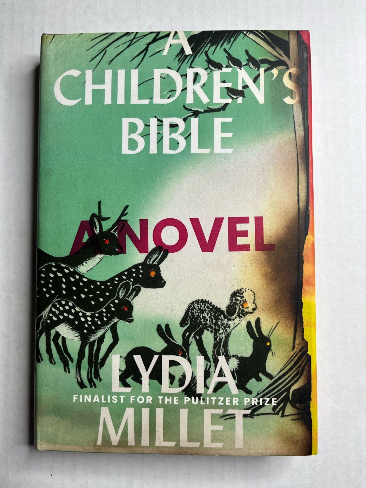 Children’s Bible : A Novel by Lydia Millet (2020, Hardcover)