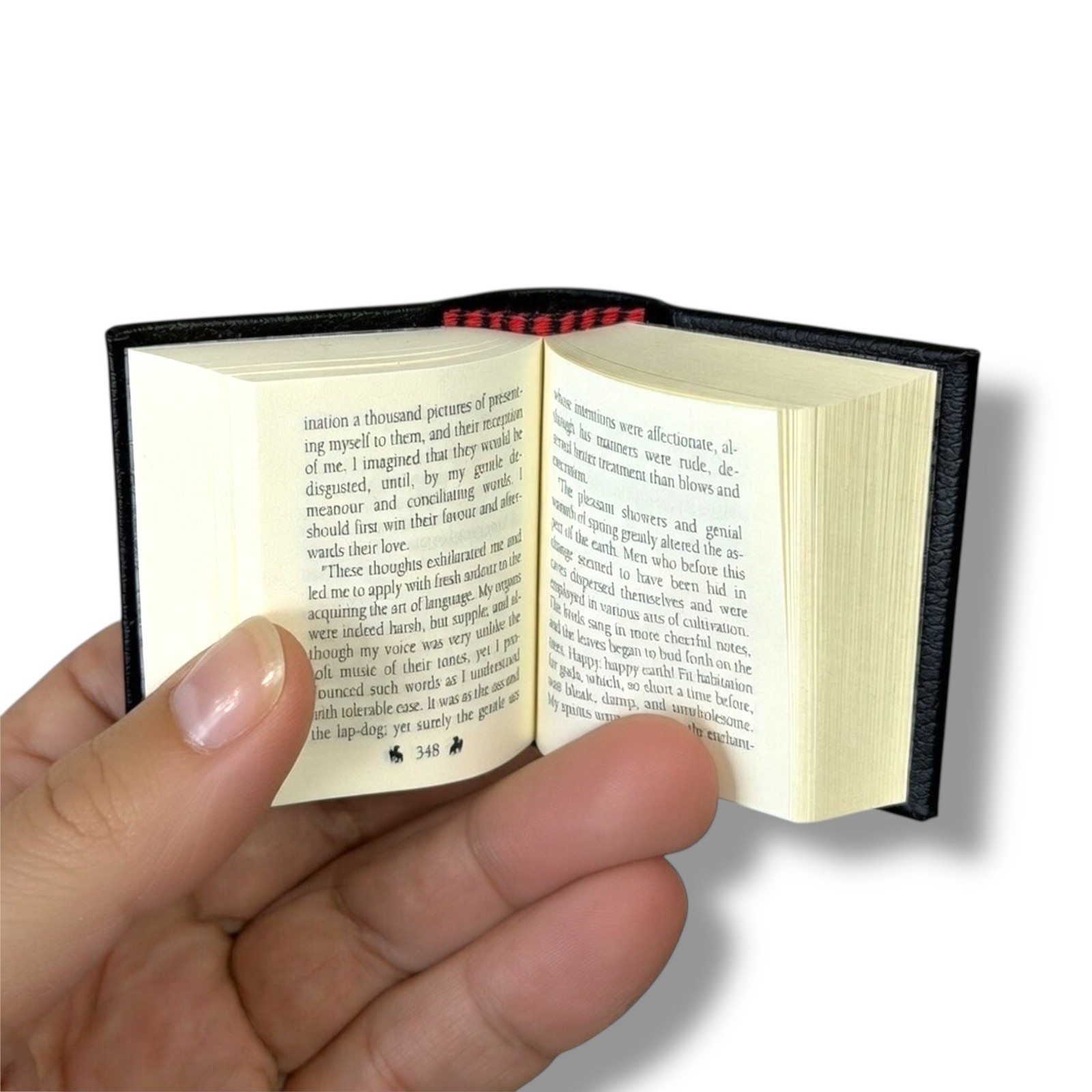 Frankenstein by Mary Shelly tiny book leather hardcover slipcase made in Germany
