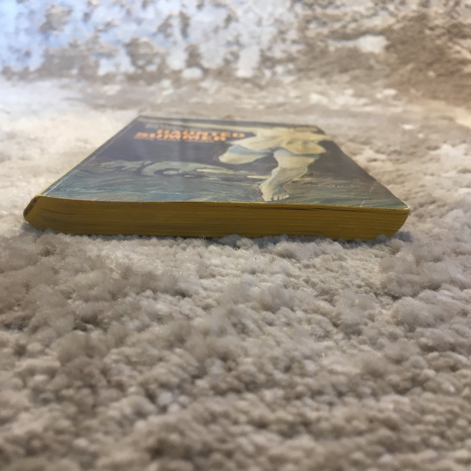 Haunted Summer Hope Dahle Jordan 1969 Washington Square Press Mystery Suspense
