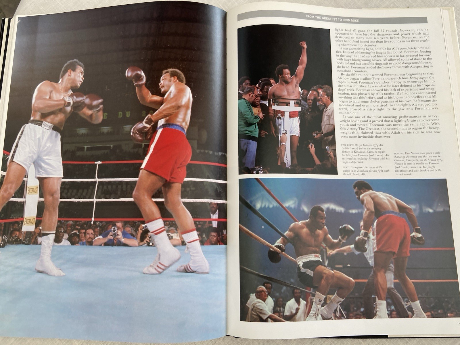 Vintage 1988, “Pictorial History of Boxing” Peter Arnold XL Vg 1st Print FREE SH