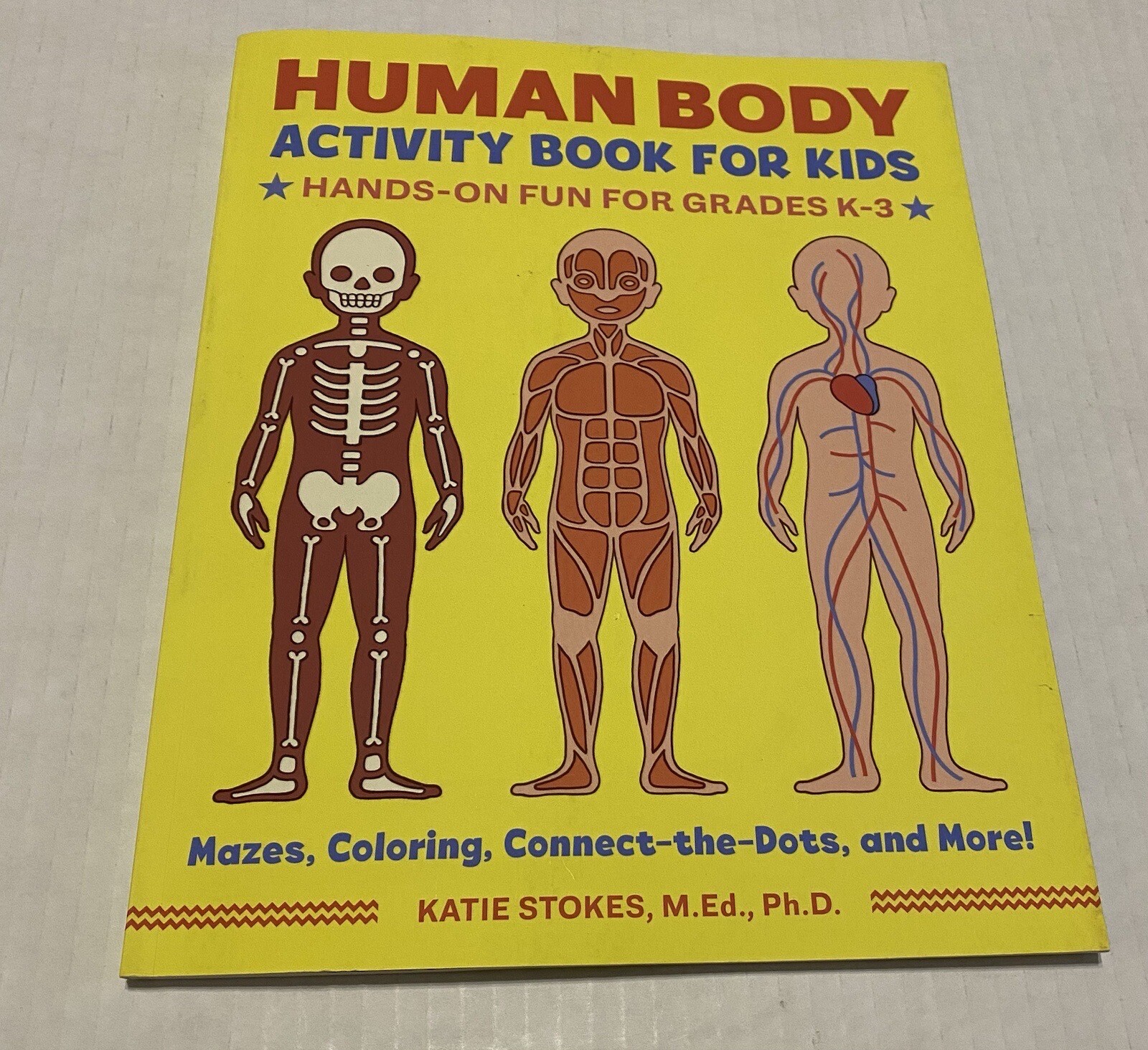 Human Body Activity Book for Kids : Hands-On Fun for Grades K-3 by Katie Stokes