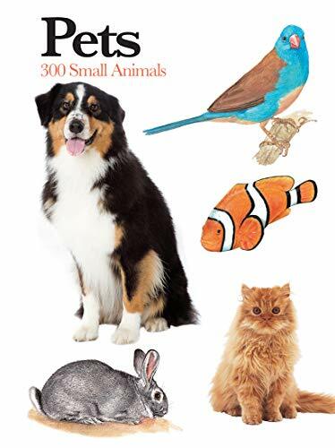 Pets: Mini Encyclopedia by Martin New 9781782749417 Fast Free Shipping..