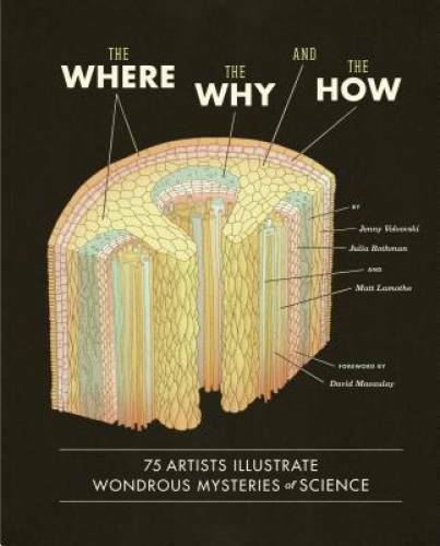 The Where, the Why, and the How: 75 Artists Illustrate Wondrous Mysteries – GOOD