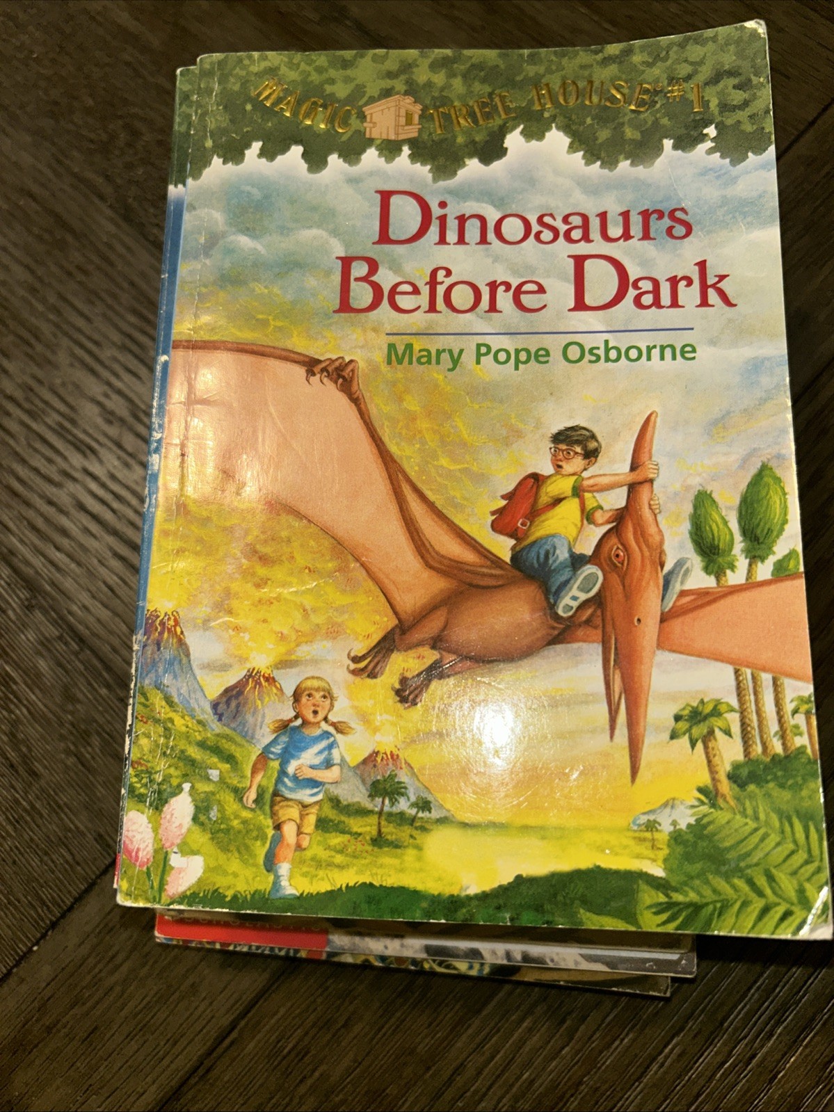 Magic Tree House Boxed Set, Books 1-15 by Mary Pope Osborne – Used Paperbacks