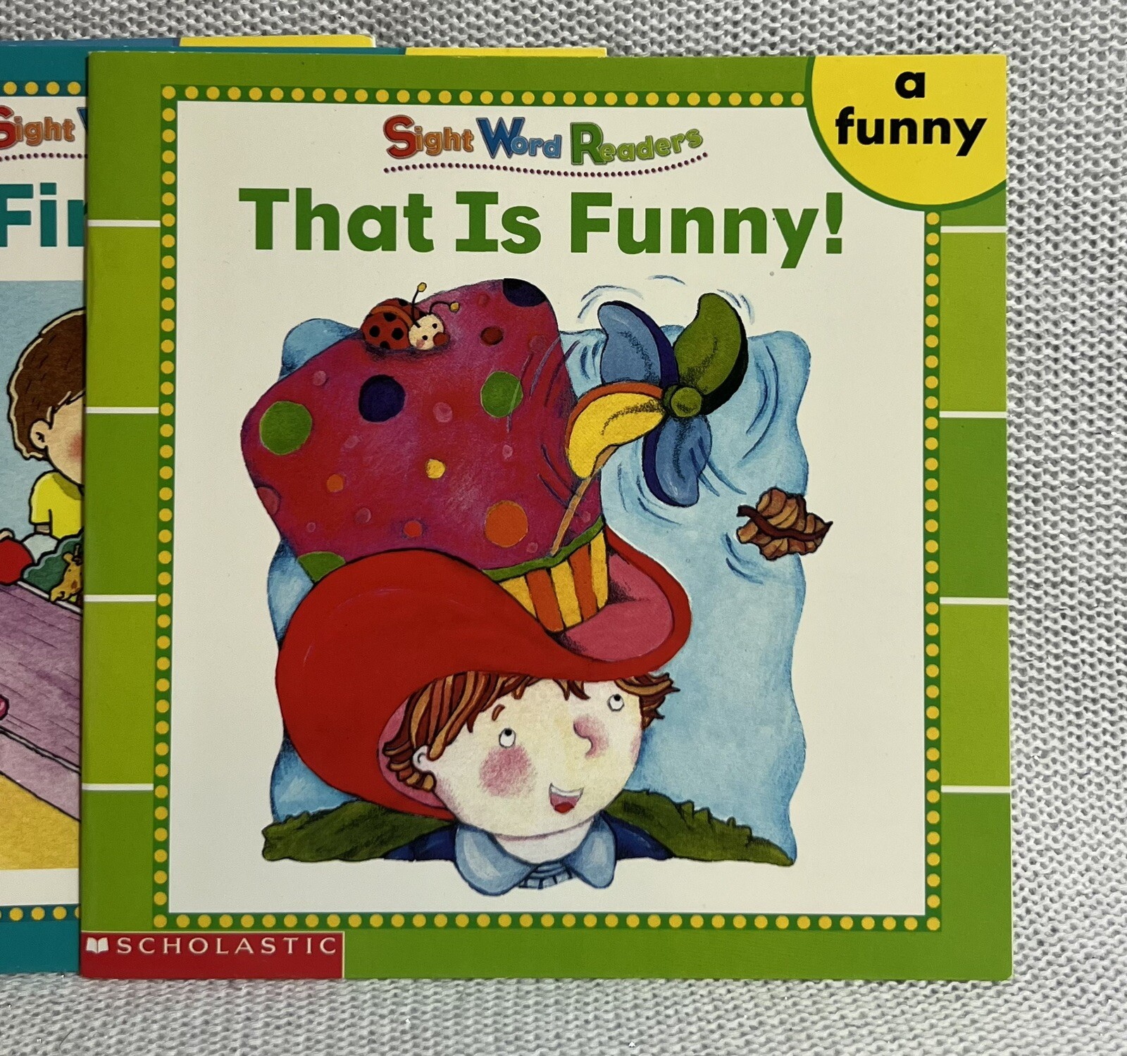 Scholastic Little Leveled Readers Sight Word Readers Set Of 5 K