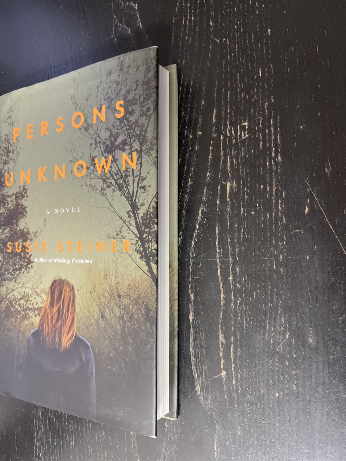 Manon Bradshaw Ser.: Persons Unknown : A Novel by Susie Steiner (2017,…
