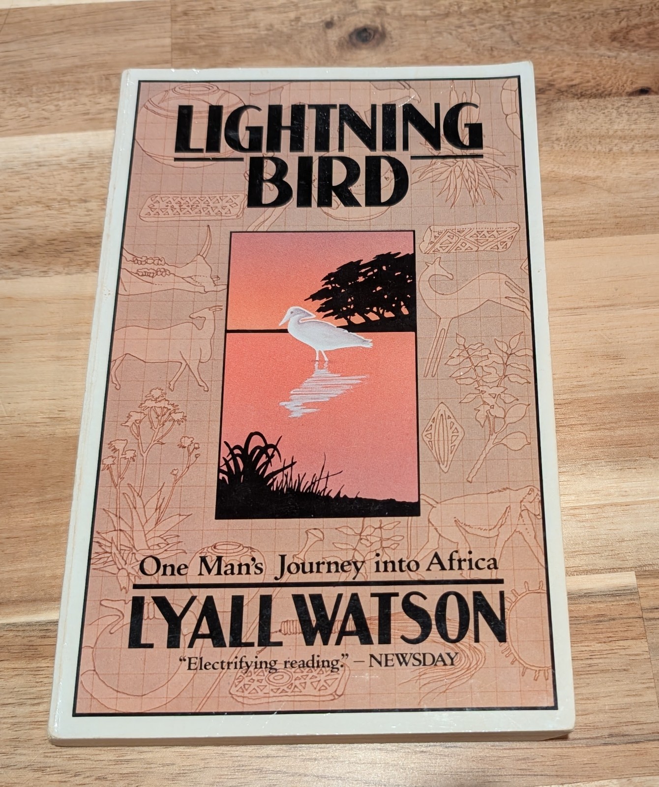 Lightning Bird One Man’s Journey Into Africa’s Past by Lyall Watson