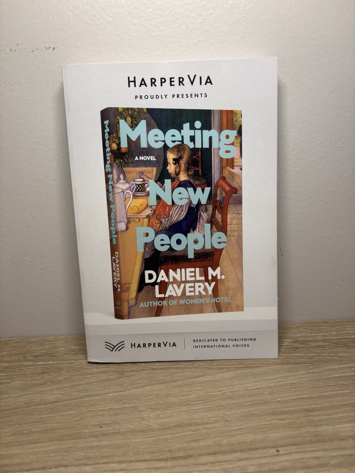 HarperVia Meeting New People ARC Paperback Uncorrected Proof Daniel M. Lavery