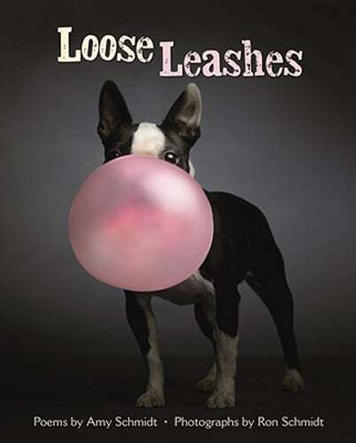 Loose Leashes by Amy Schmidt: Used