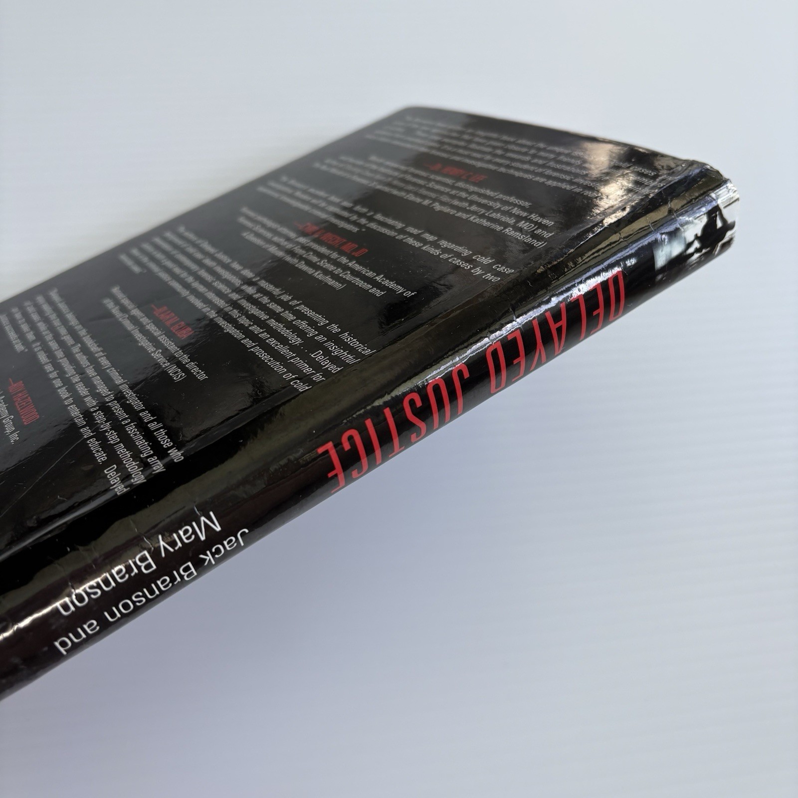 Delayed Justice : Inside Stories from America’s Best Cold Case Investigators