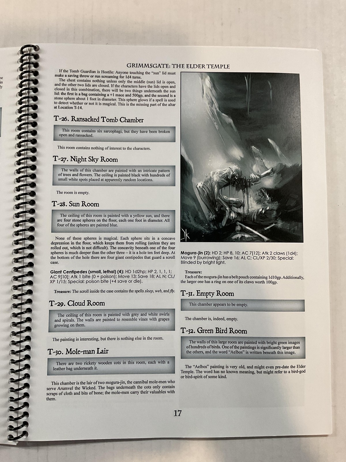 Swords & Wizardry Grimmsgate An Introductory Adventure Matt Finch Ring Wire Blue