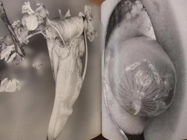 Nobuyoshi Araki “Erotos” Photo Book First edition Hardcover Japanese