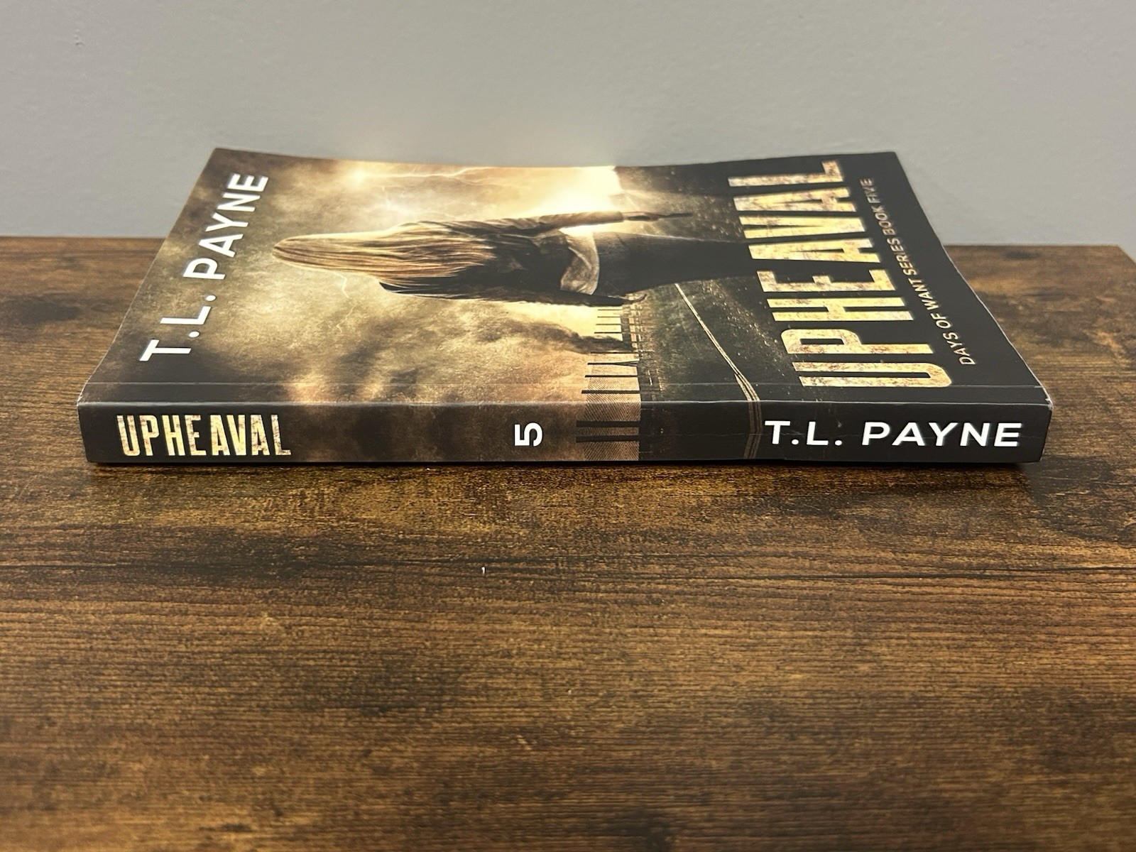 Upheaval: A Post Apocalyptic EMP Survival Thriller (Days of Want Book Five)