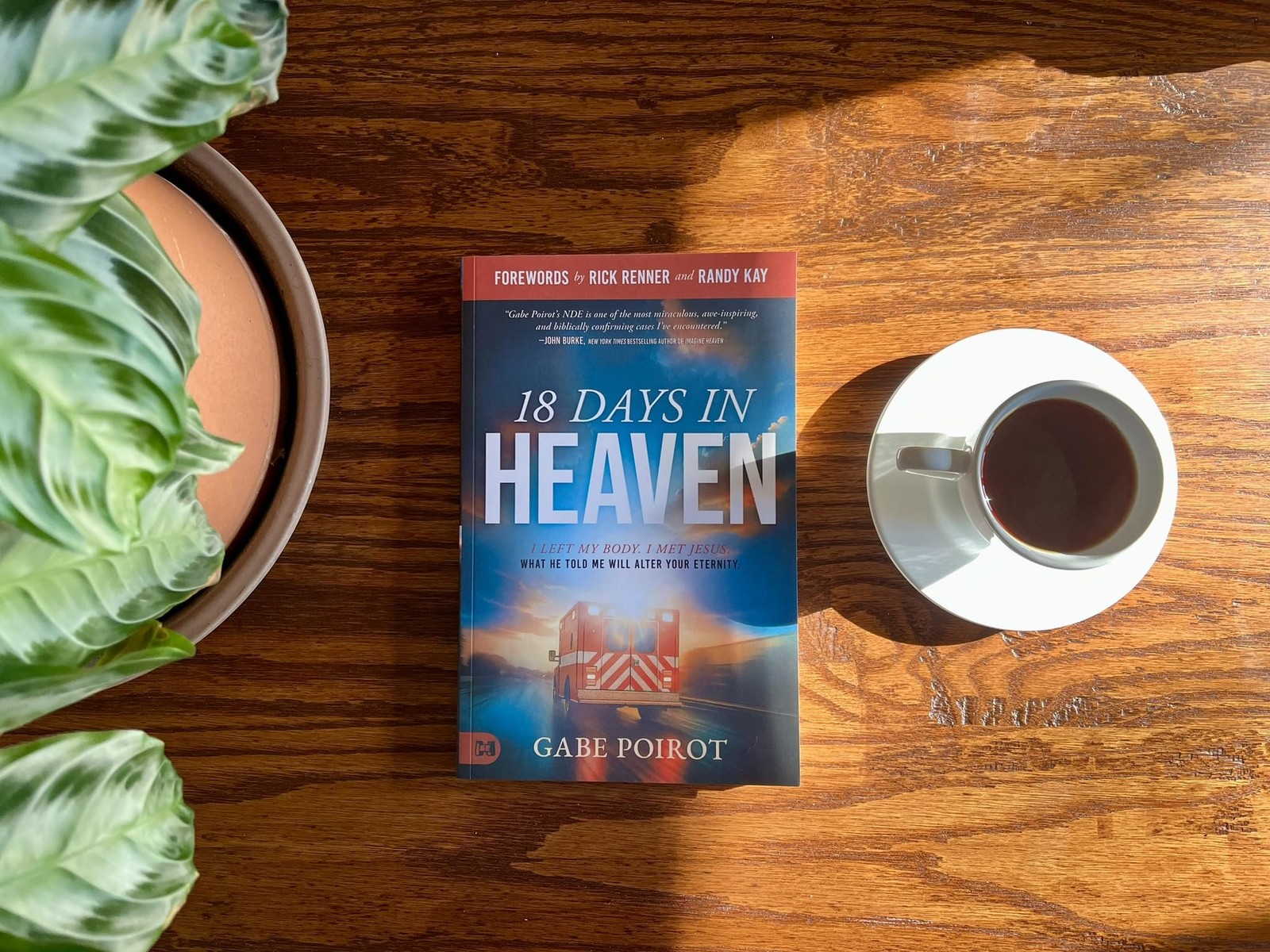 18 Days in Heaven I Left My Body. I Met Jesus. What He Told Me Will Alter You…