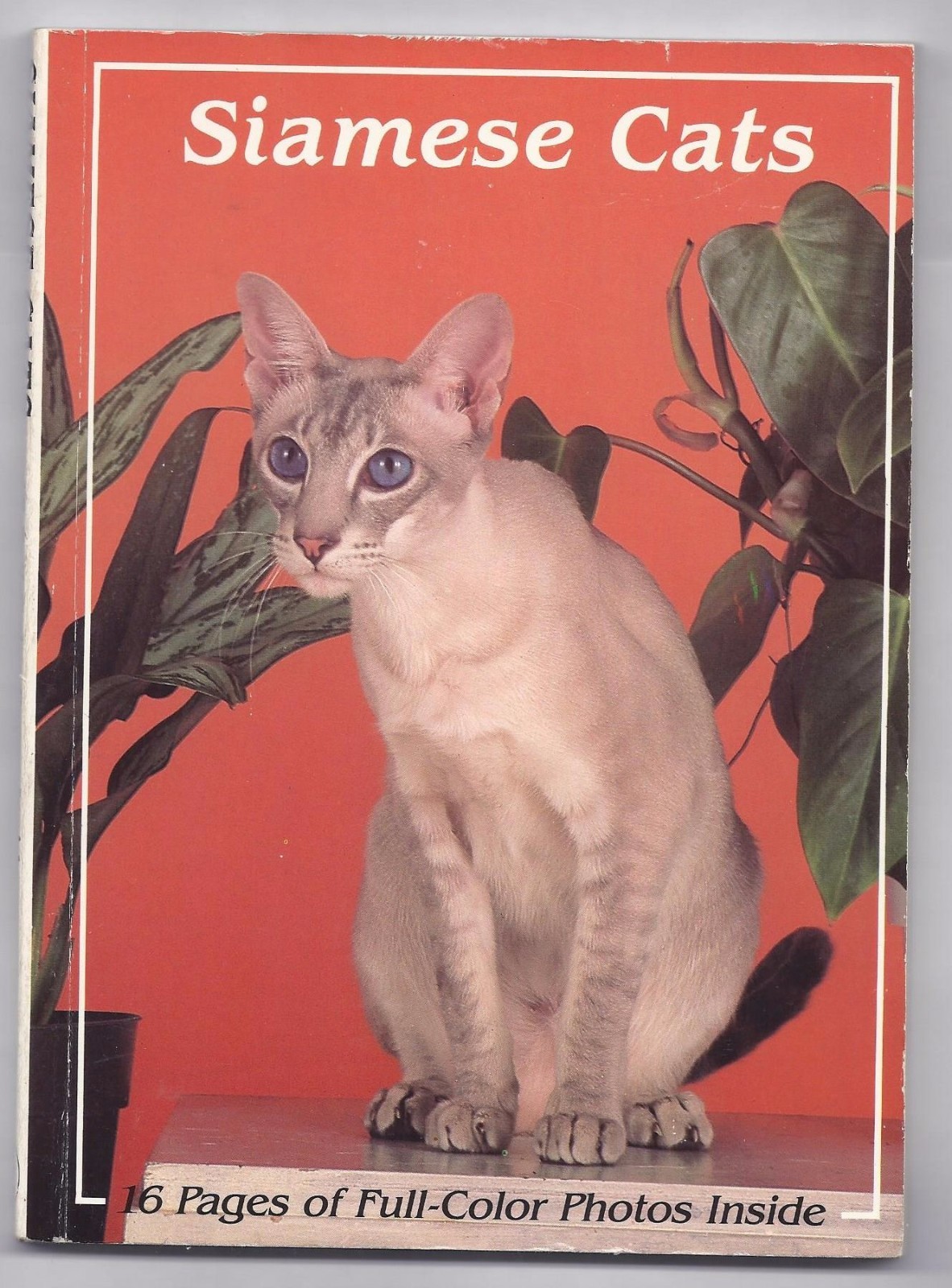 Siamese Cats by Loren Spiotta-DiMare (1985, Paperback)