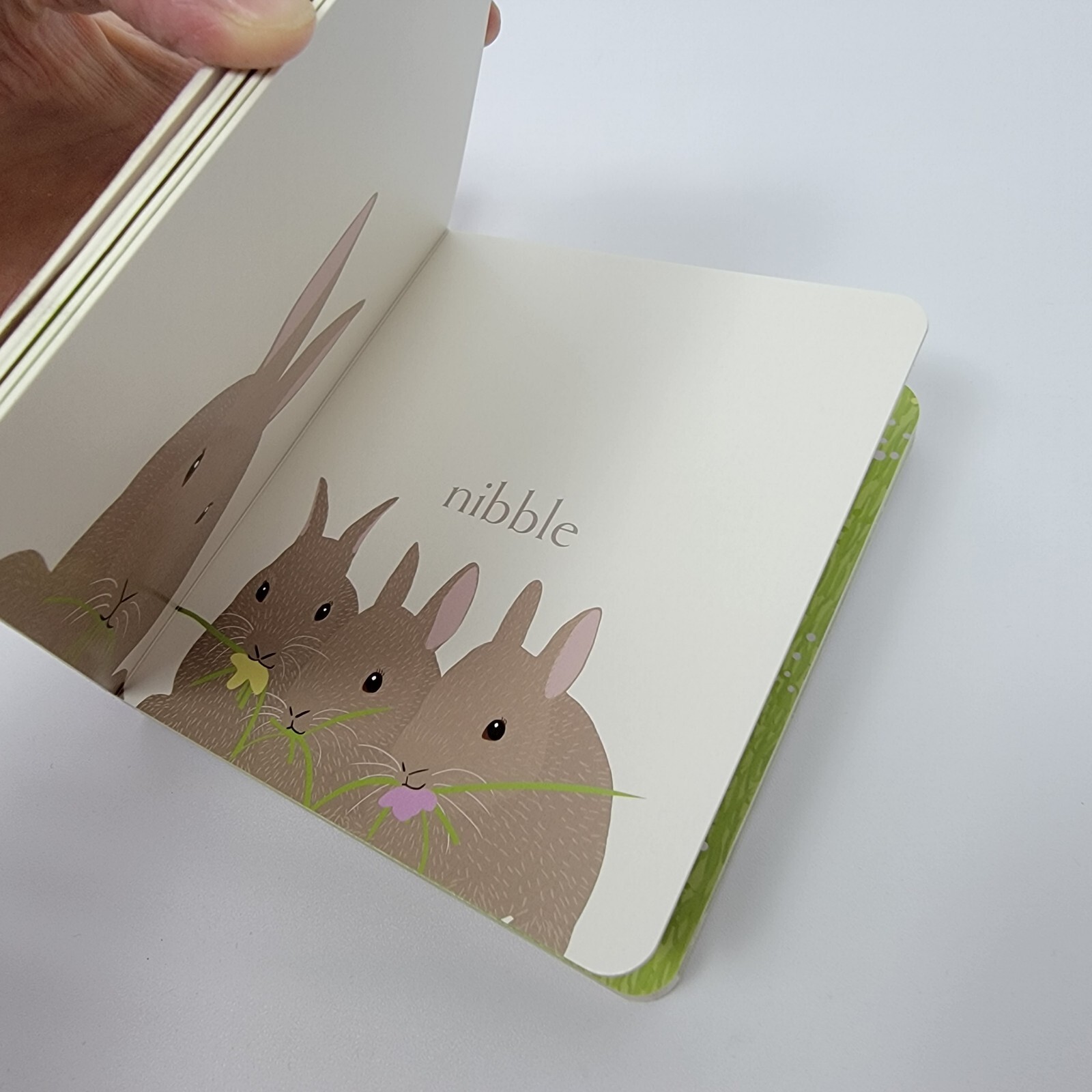 “New” Hop, Hardcover Little Simon by Jorey Hurley. Kind book 5.5″x6″x0.75″