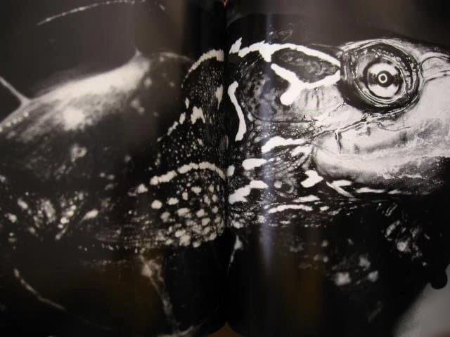 Nobuyoshi Araki “Erotos” Photo Book First edition Hardcover Japanese
