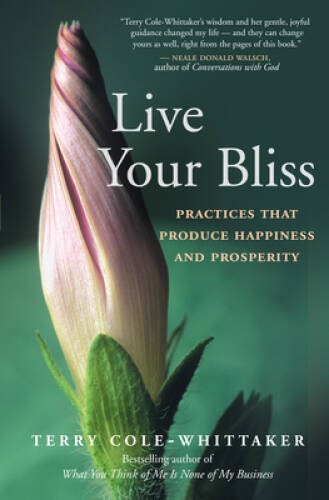 Live Your Bliss: Practices That Produce Happiness and Prosperity – VERY GOOD