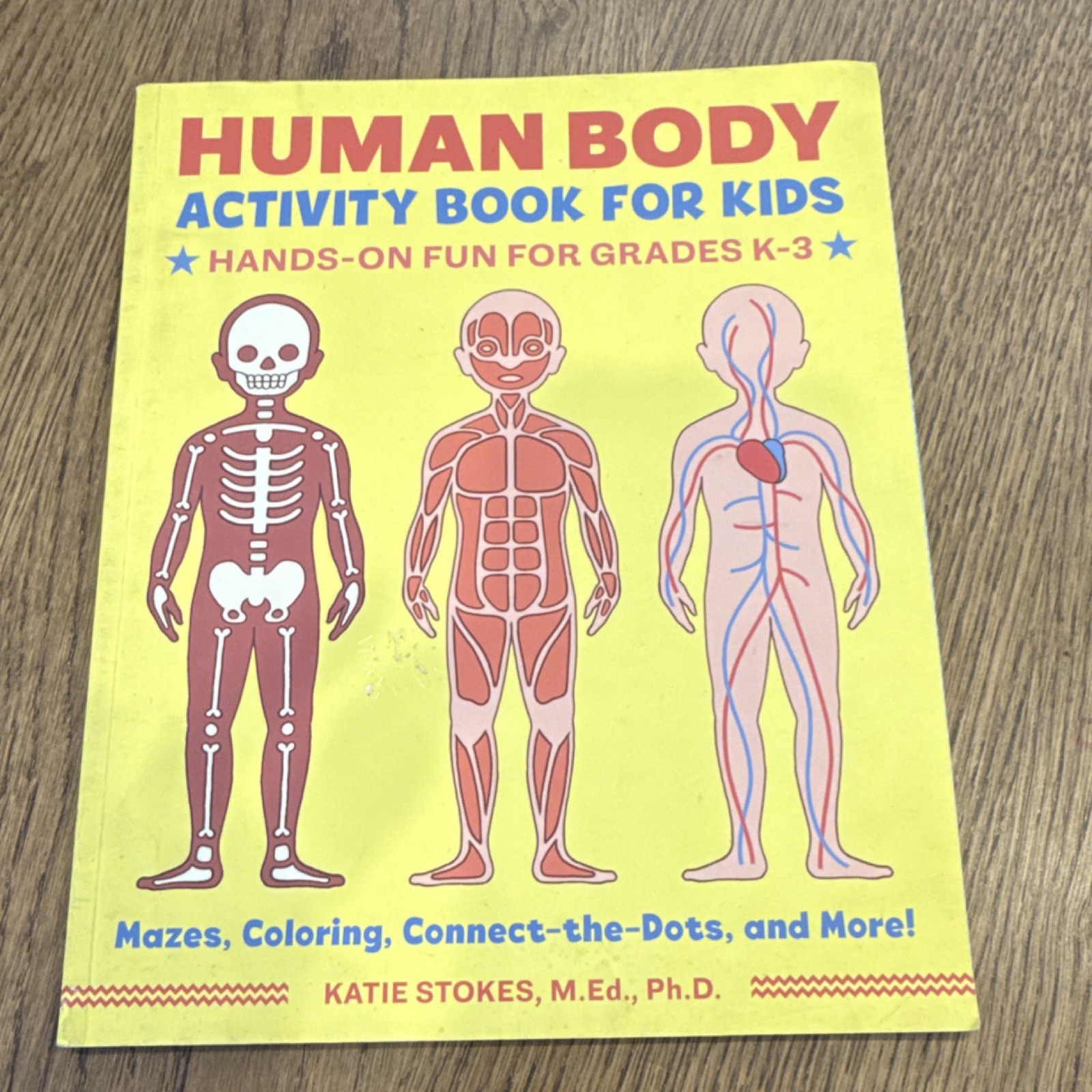 Human Body Activity Book for Kids Paperback Mazes Coloring Ages 4-8 Katie Stokes