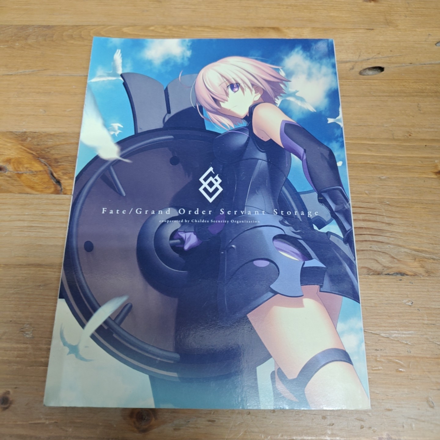 Fate Grand Order Servant Storage Art Guide Fan Book Type-Moon 2016 Ltd
