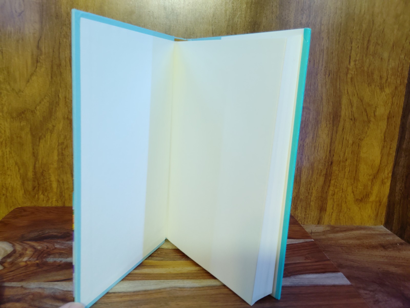 Pineapple Street A Novel Jenny Jackson Hardcover First Edition GMA Book Club Pic