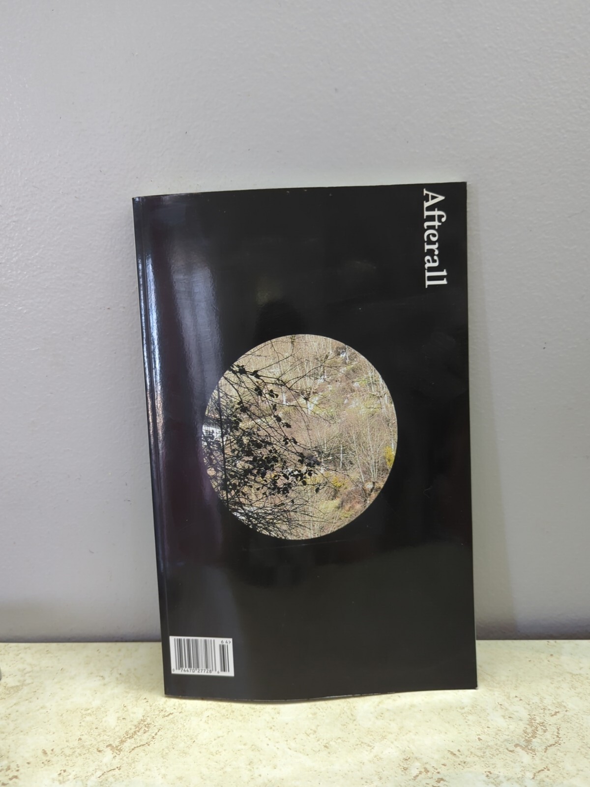 Afterall Autumn/Winter 2006 Issue 14 Journal of Art Context & Enquiry London LA