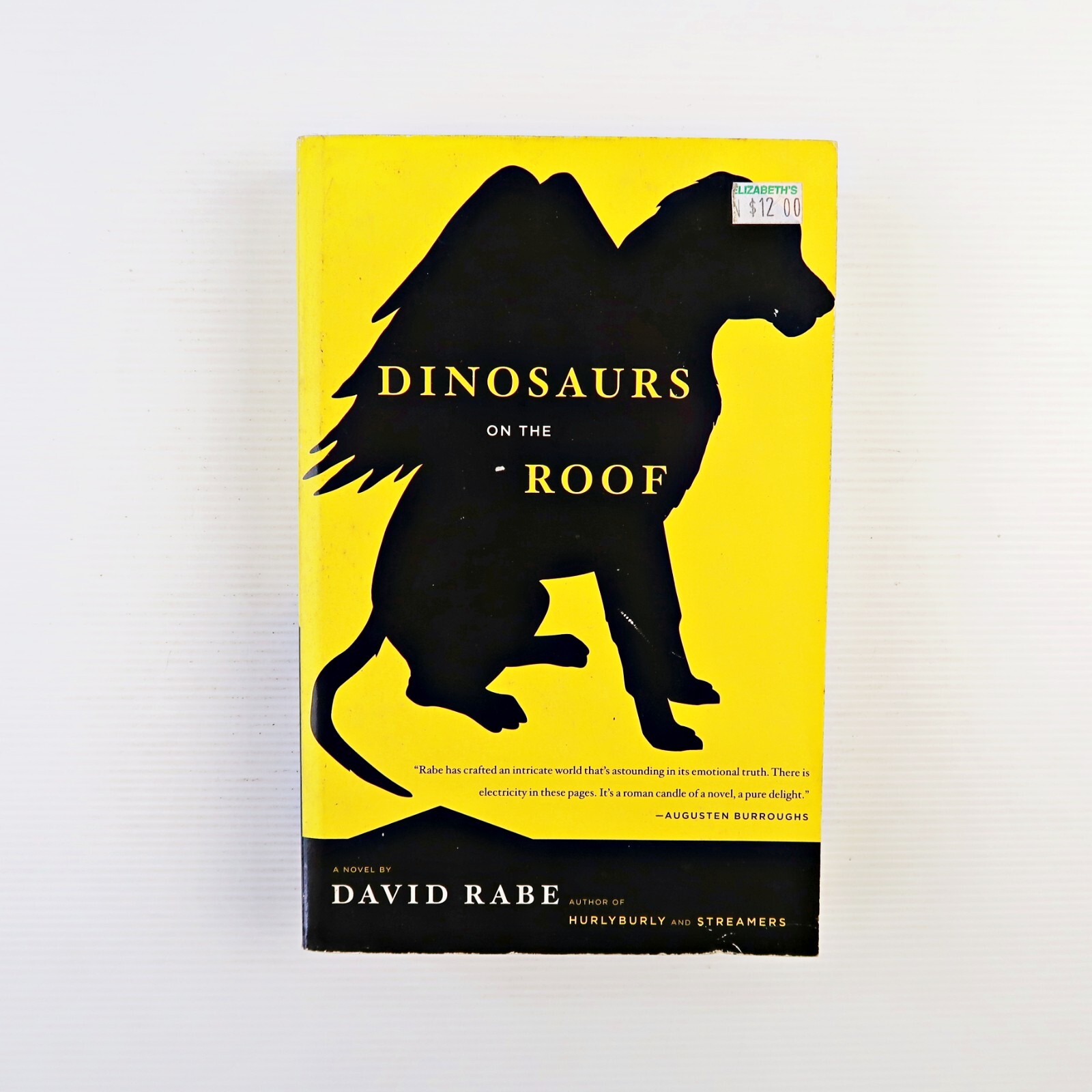 Dinosaurs on the Roof: a Novel (Paperback 2009)