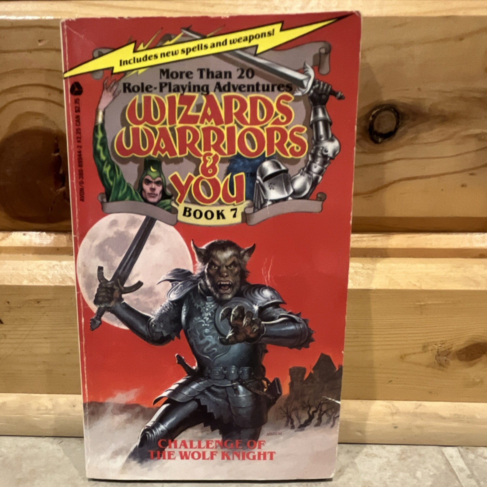 Wizards Warriors & You Challenge of the Wolf Knight by R.L. Stine Paperback