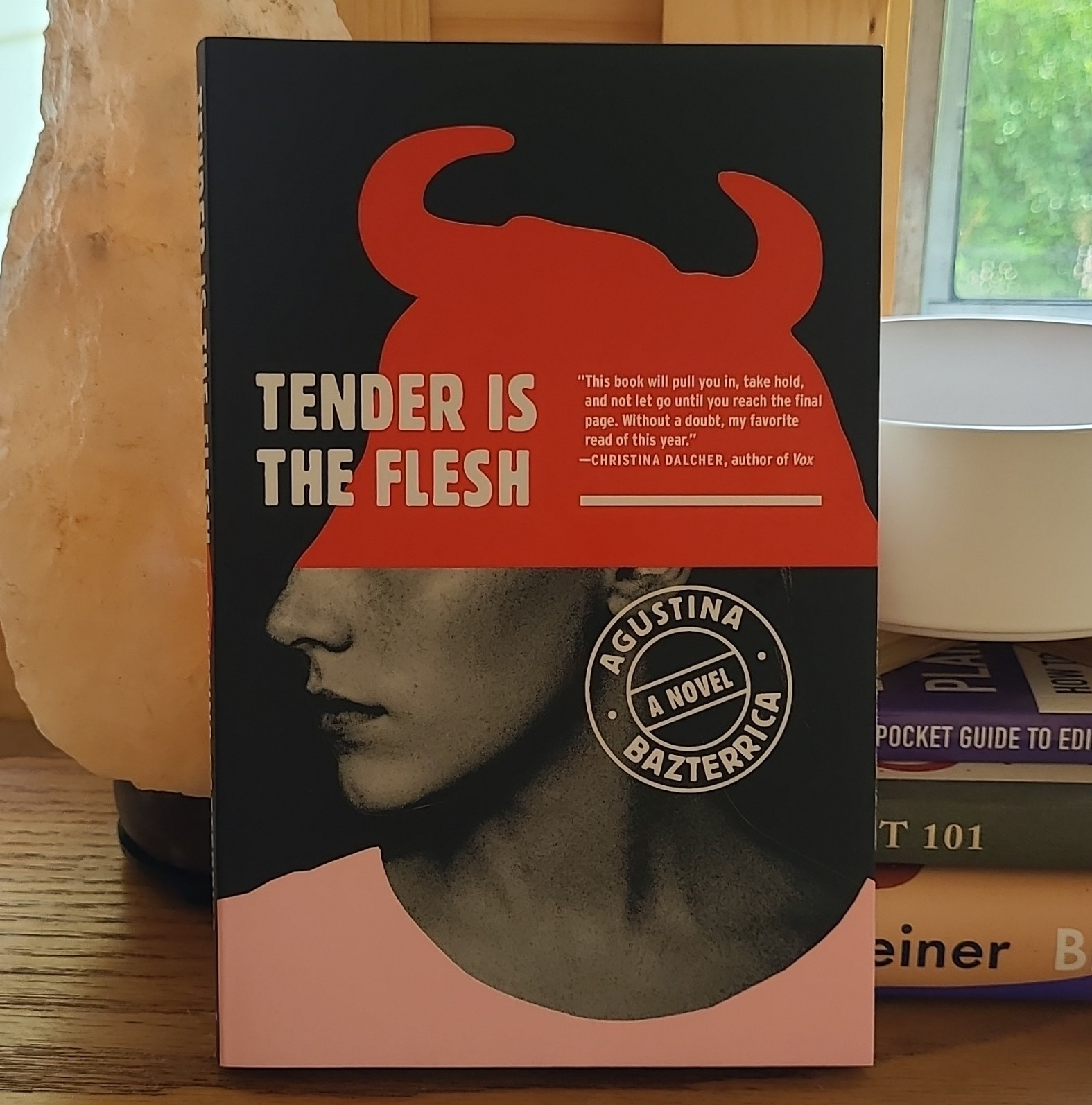 Agustina Bazterrica Tender Is the Flesh Trade Paperback 2020 Scribner 224p