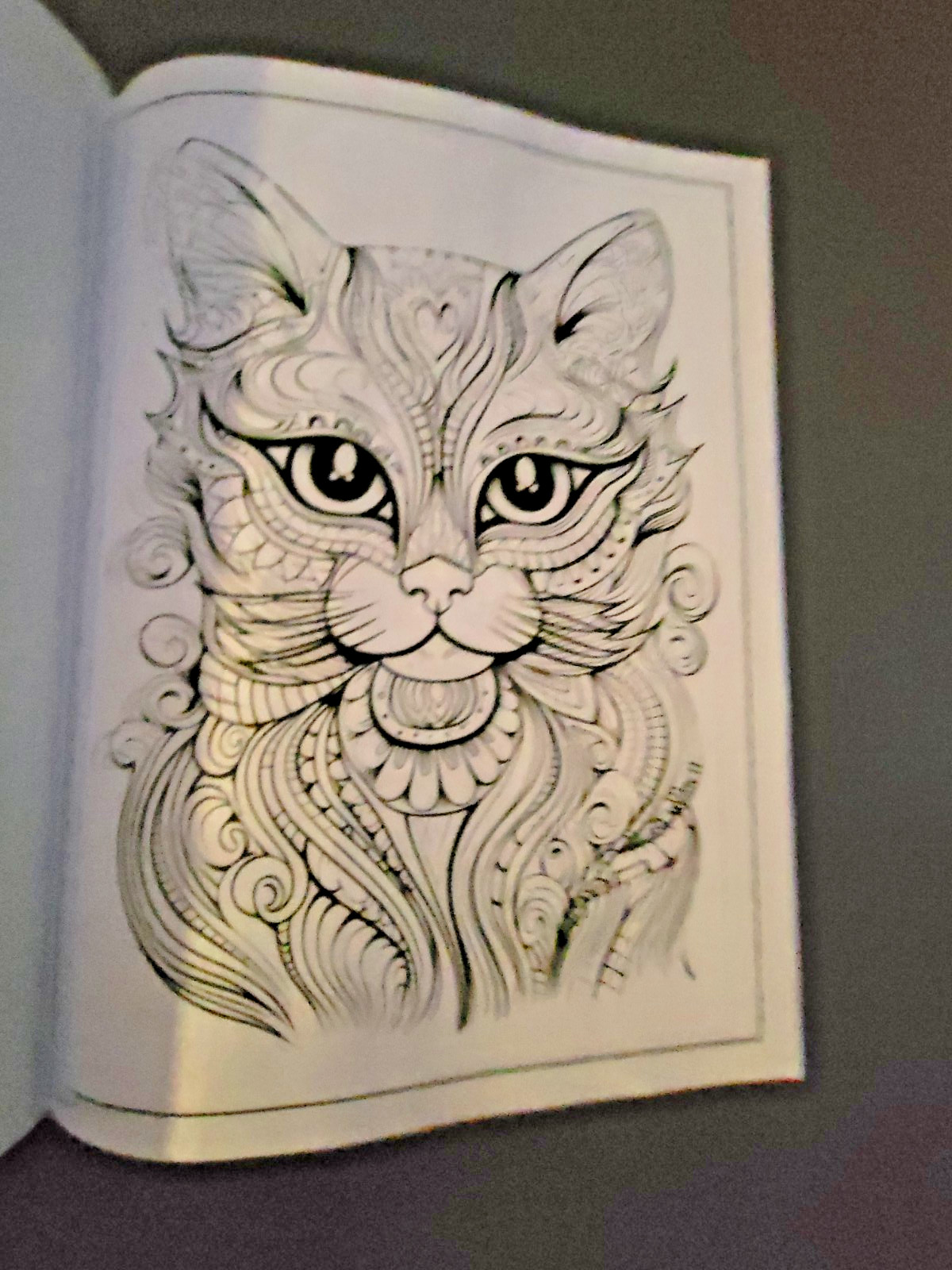 Cat Coloring -32 Spring-Inspired Designs-Relaxing & Inspirational Adult Coloring