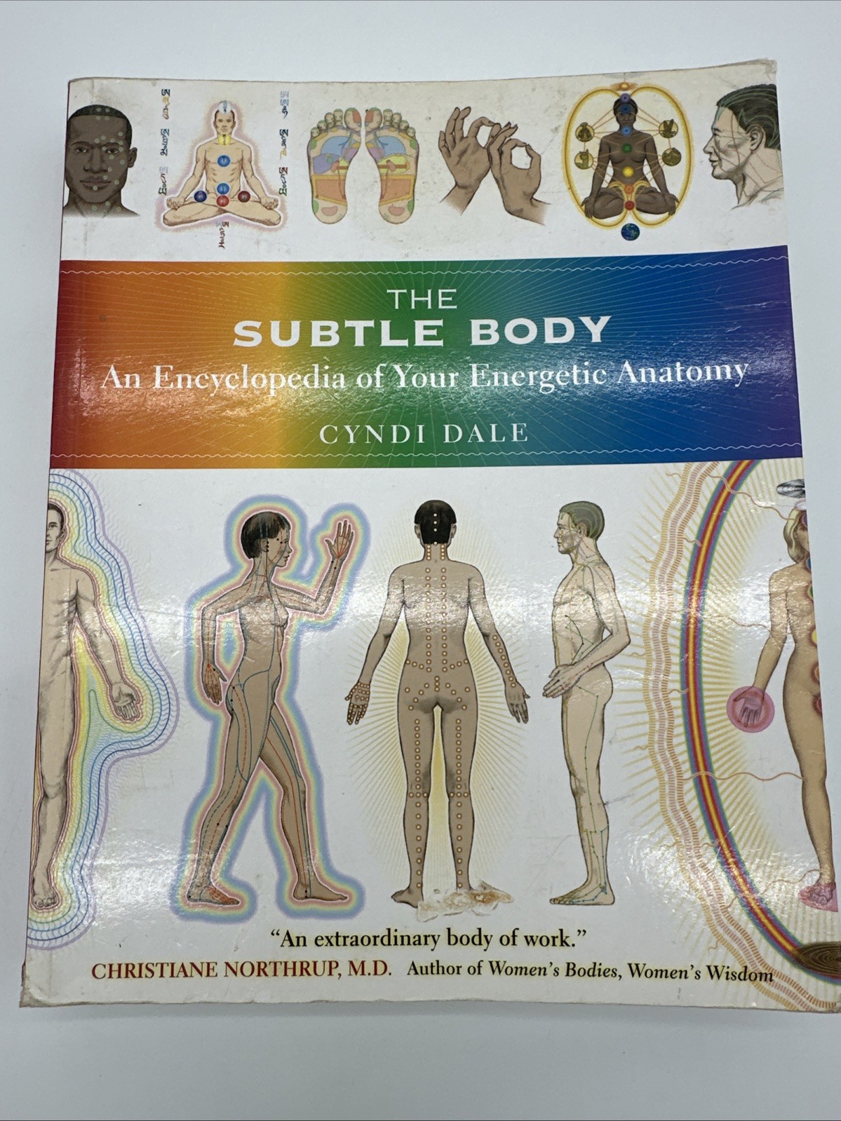 The Subtle Body Encyclopedia of Your Energetic Anatomy Cyndi Dale Paperback 2009