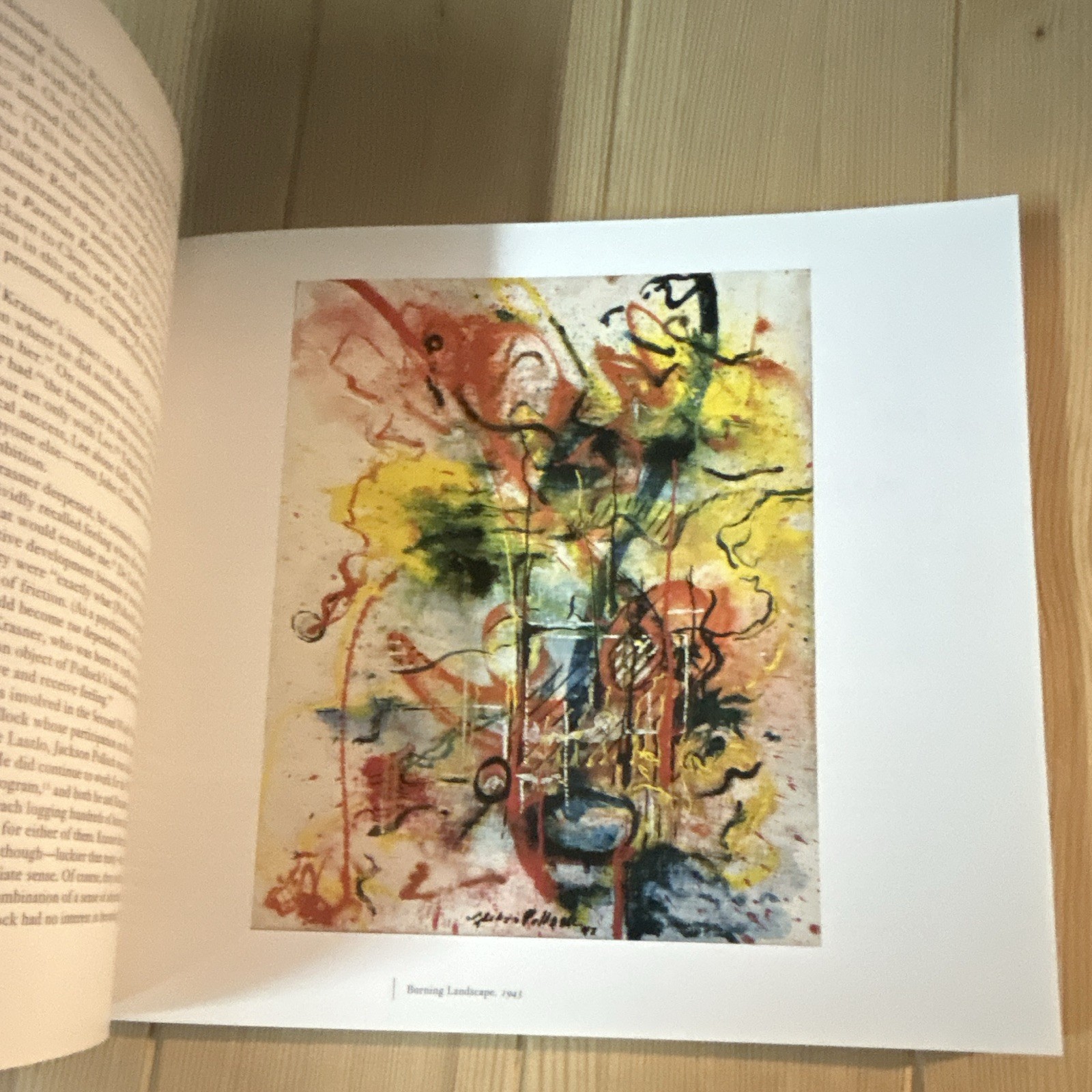 Harry N. Abrams Jackson Pollock Ellen G. Landau Illustrated (2005, PB)