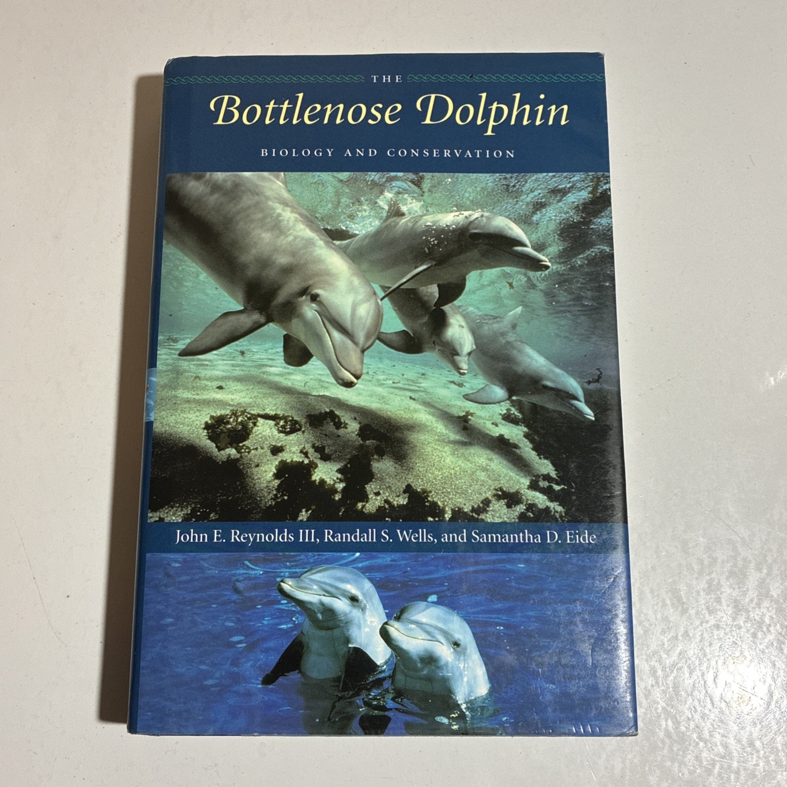 Bottlenose Dolphin Dolphins Book by John Reynolds Marine Biology Cetacean Books