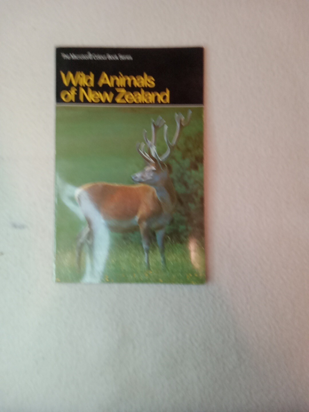 $3.45 – Discover New Zealand, booklet, Wild Animals of New Zealand