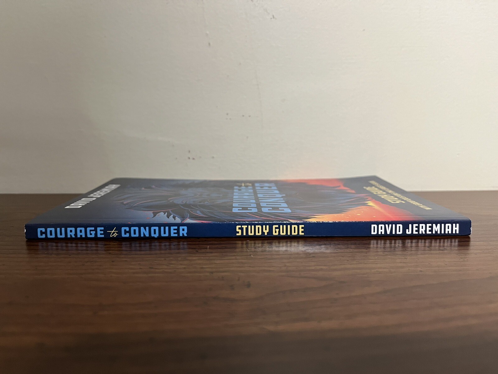 David Jeremiah Study Guide “COURAGE to CONQUER” Brand New Paperback ~Rare~