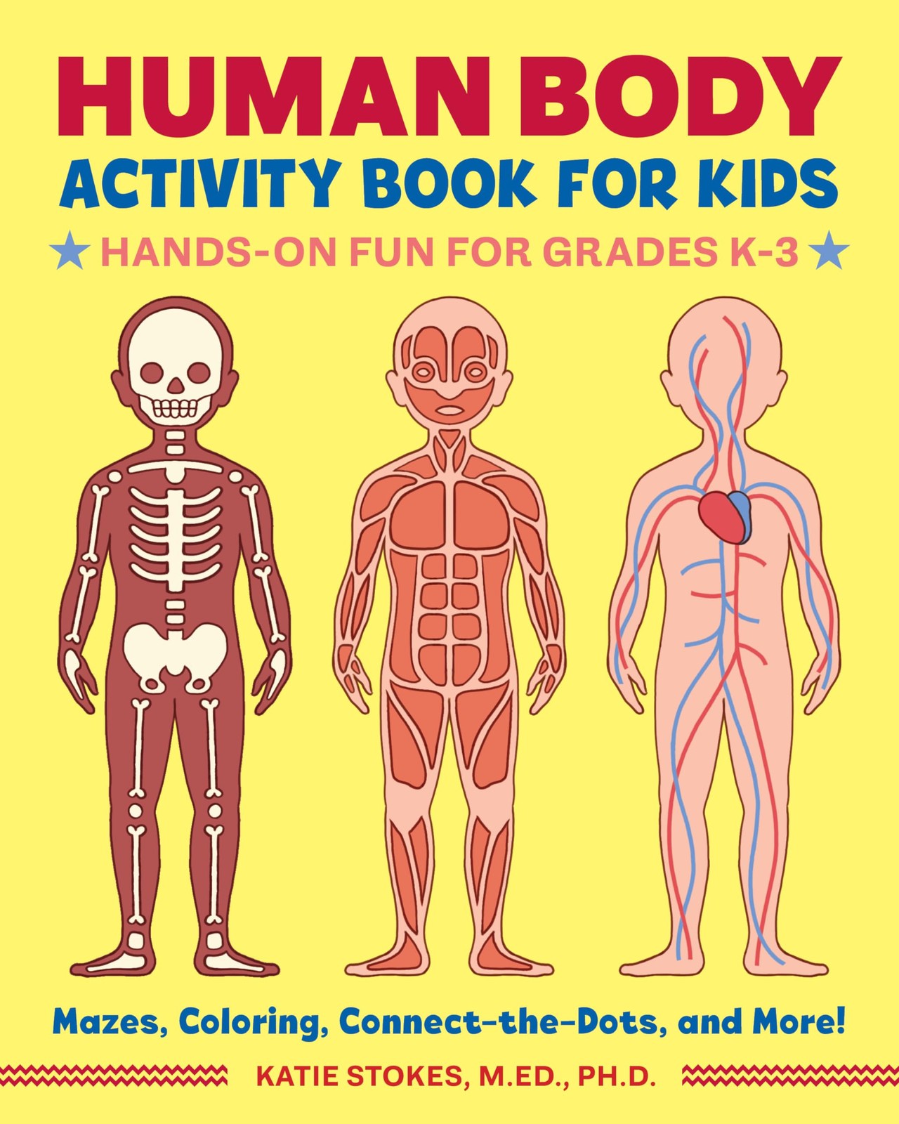 Human Body Activity Book for Kids by Katie Stokes MEd PhD