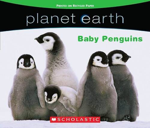 Planet Earth: Baby Penguins – Board book By Lee, Quinlan B – GOOD